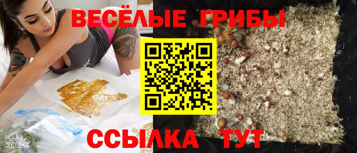 Псилоцибиновые грибы Psilocybine cubensis Елизово
