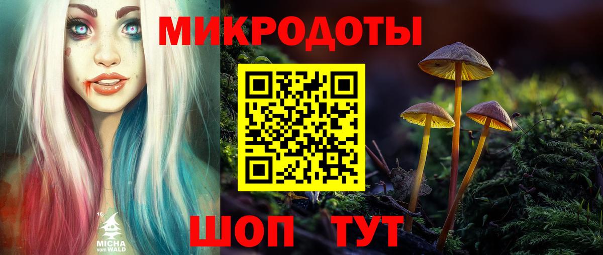Галлюциногенные грибы Psilocybe  Вход с VPN  Елизово 